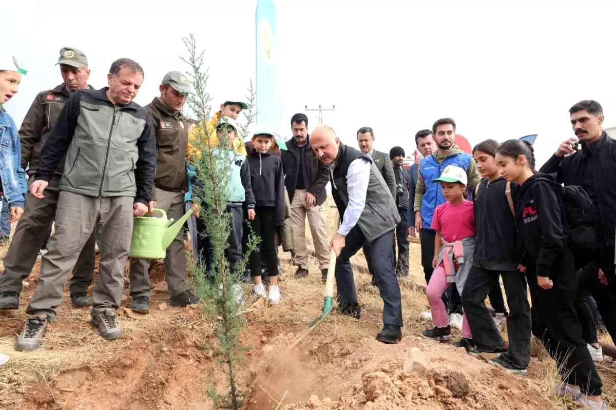 Adıyaman’da 11 Bin Fidanla Ağaçlandırma Etkinliği