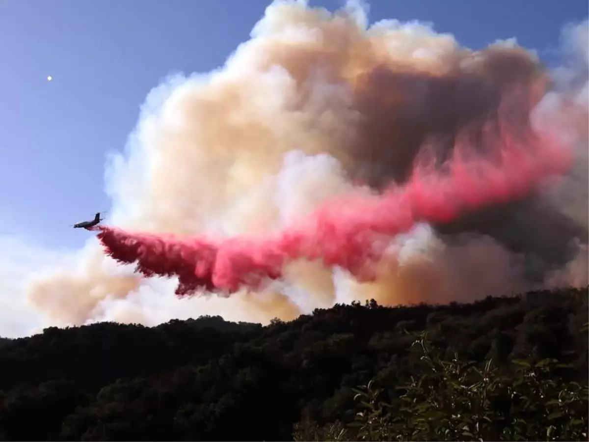 Los Angeles’ta Orman Yangınları Tahliye Başlattı