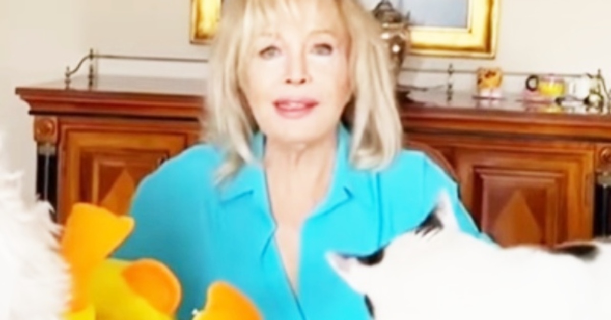 Emel Sayın, Kediler Günü’nü kutladı