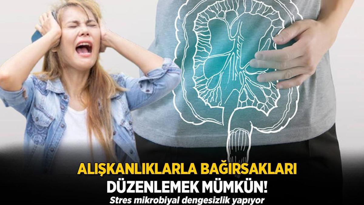 Alışkanlıklarla bağırsakları düzenlemek mümkün! Stres mikrobiyal dengesizlik yapıyor