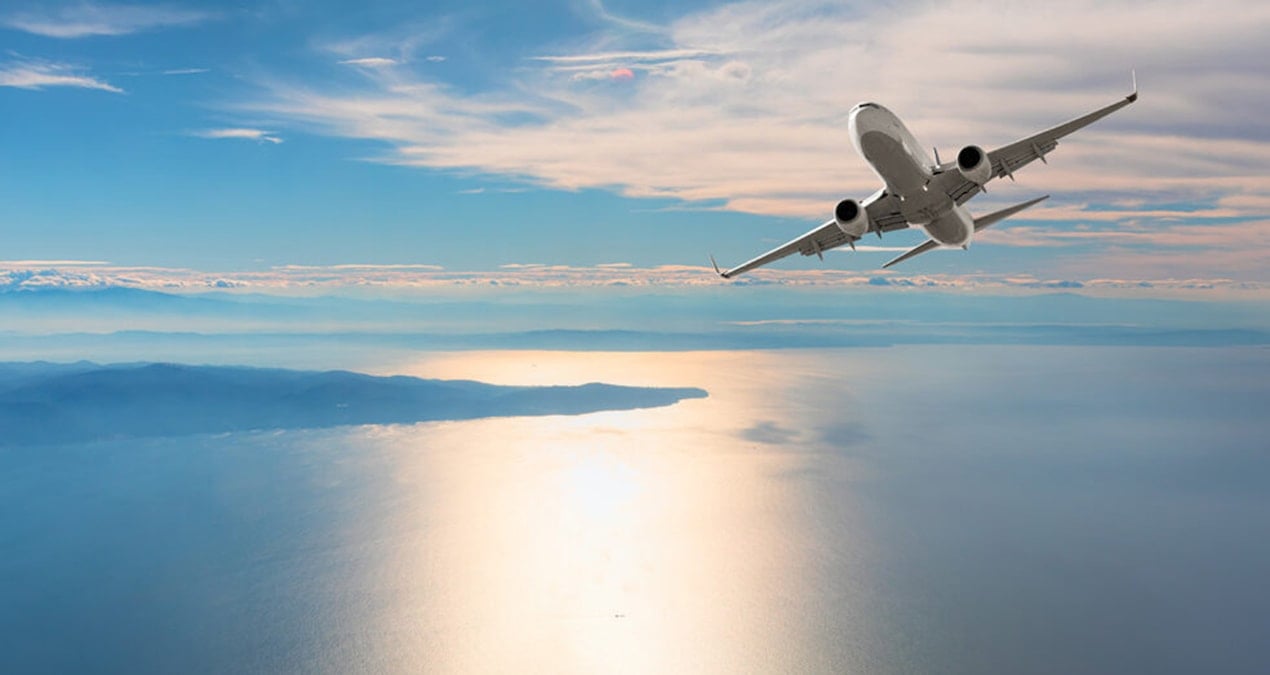 Havada büyük panik! Kapıyı açmaya çalıştı, uçak zorunlu iniş yaptı